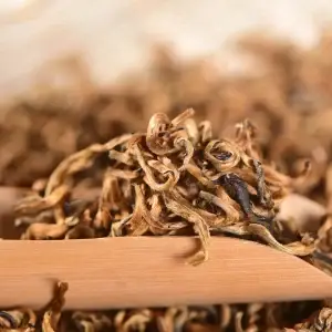 Imperial Mojiang Golden Bud Yunnan Black Tea
